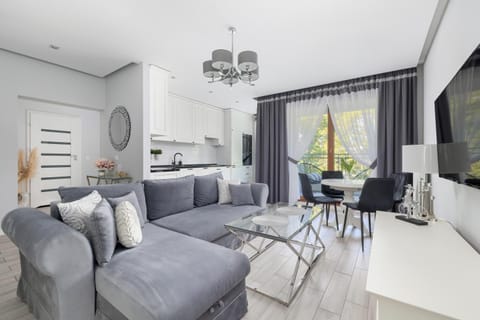 TV and multimedia, Kitchen or kitchenette, Living room, Seating area, Dining area