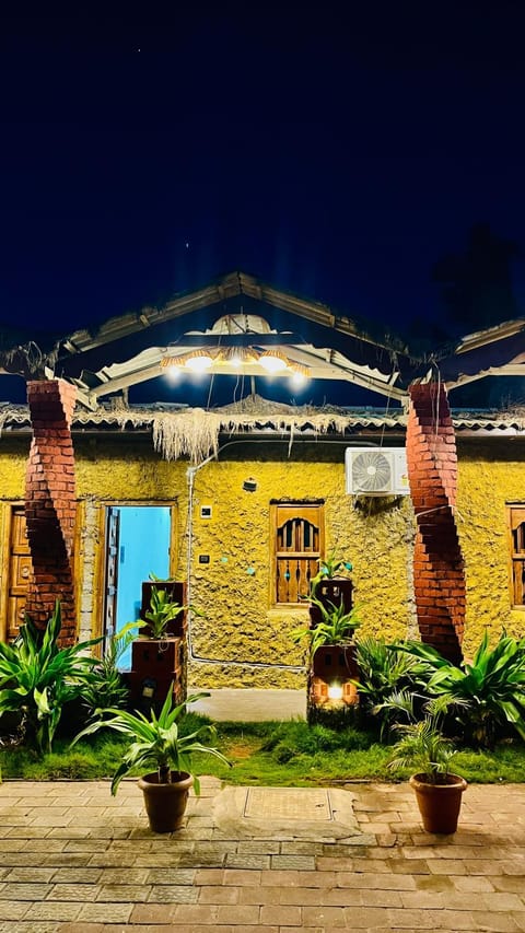 Property building, Night, Garden, Garden view
