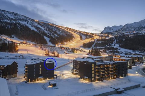 Property building, Bird's eye view, Winter, Skiing, Skiing