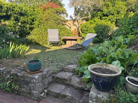 Garden, Garden view, sunbed
