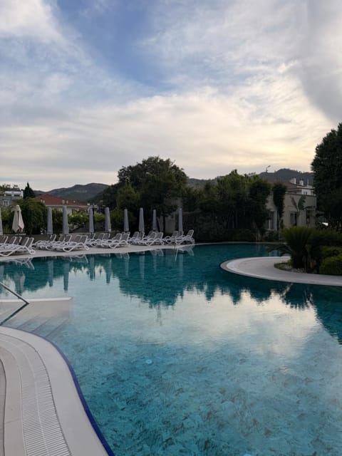 Garden, Swimming pool