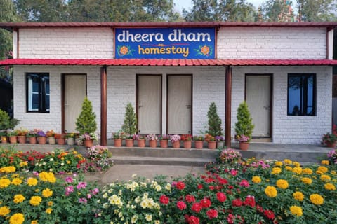 Property building, Garden, Garden view