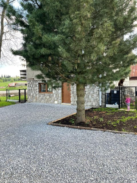 Natural landscape, Garden, Garden view