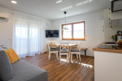 Communal lounge/ TV room, TV and multimedia, Kitchen or kitchenette, Living room, Seating area, Dining area, Evening entertainment, air conditioner