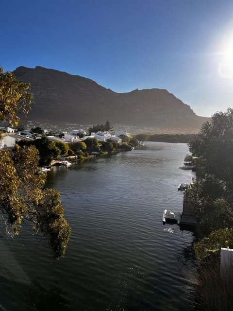 Nearby landmark, Neighbourhood, Canoeing, Animals