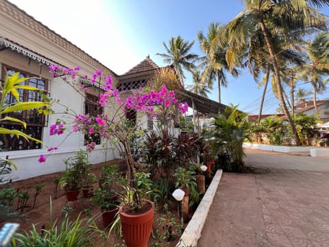 Property building, Spring, Day, Garden, Garden view