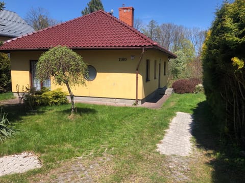 Property building, Garden, Garden, Garden view