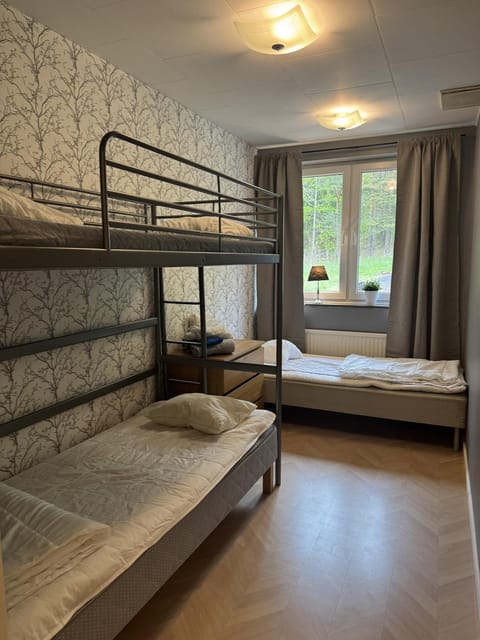 Bed, Photo of the whole room, Bedroom, bunk bed