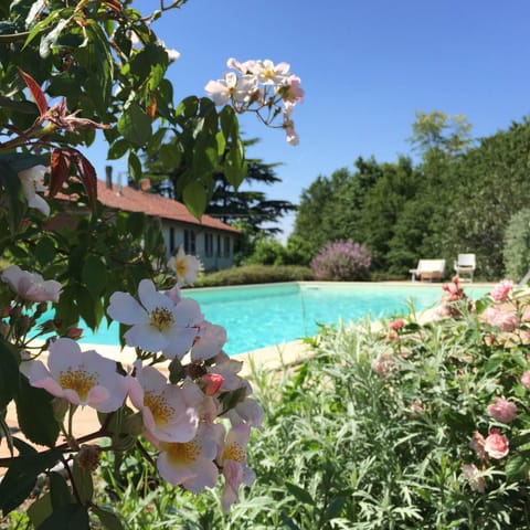 Property building, Swimming pool, Swimming pool