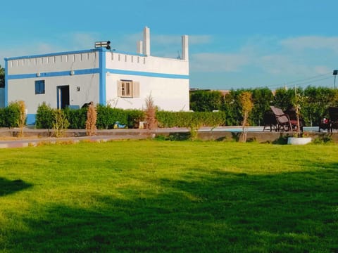 Spring, Day, Natural landscape, Garden, Garden view