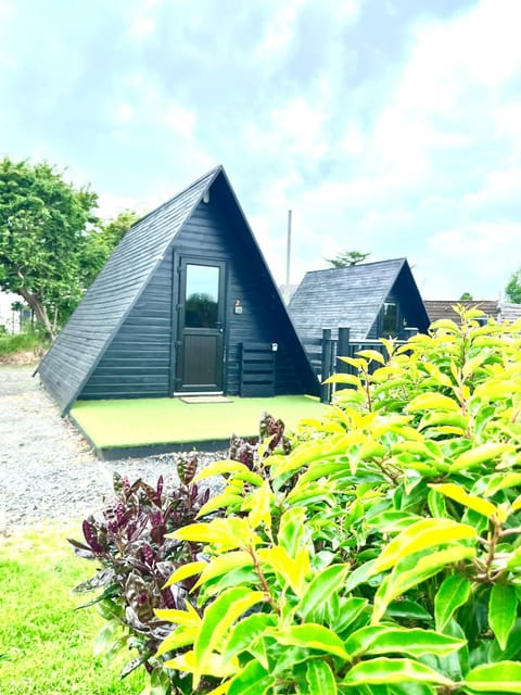 Property building, Garden view