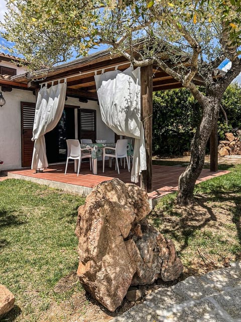Patio, Garden