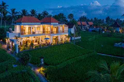 Property building, Night, Natural landscape, Garden, Garden view