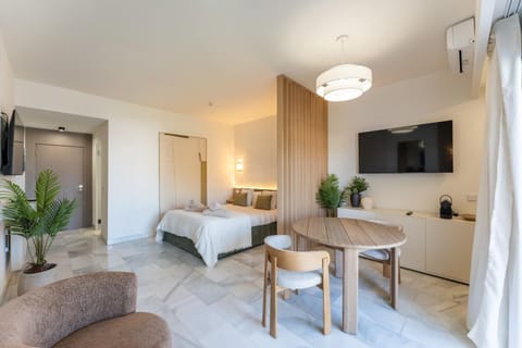 Bed, TV and multimedia, Living room, Photo of the whole room, Seating area, Dining area, Bedroom, air conditioner