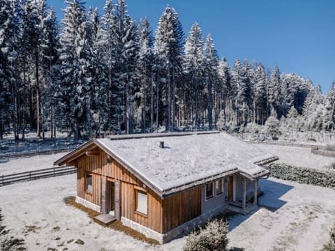 Property building, Winter