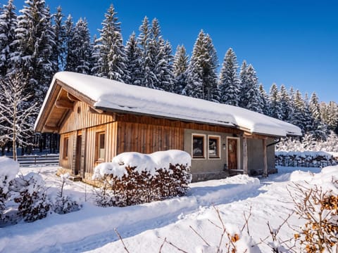 Property building, Winter
