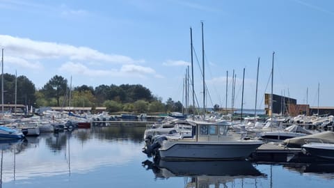 Lake view