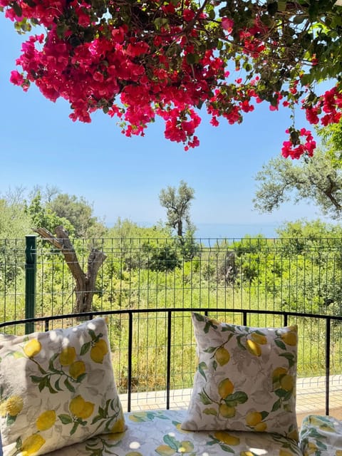 Patio, Natural landscape, Garden