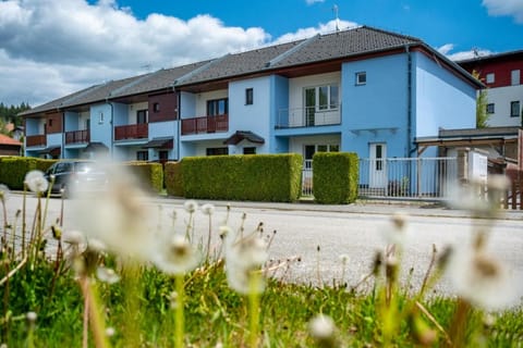 Property building, Spring, Day, Neighbourhood, Garden, Street view