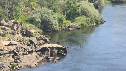Natural landscape