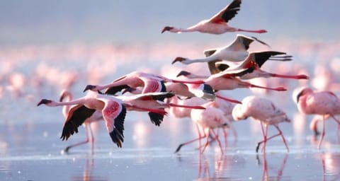 Natural landscape