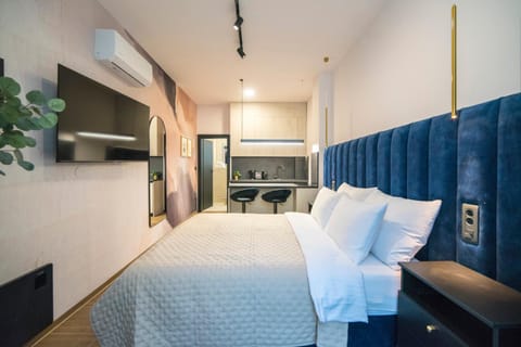 Bed, TV and multimedia, Kitchen or kitchenette, Photo of the whole room, air conditioner
