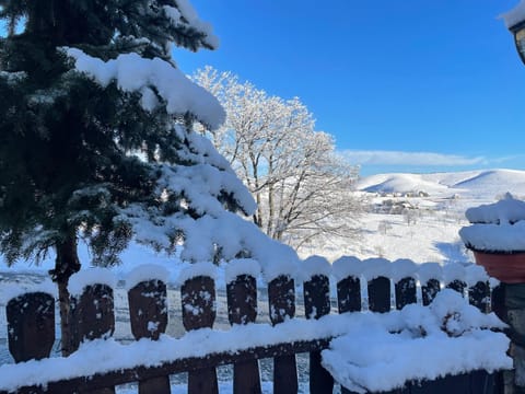 Guest House Vila Djokic Bed and Breakfast in Zlatibor