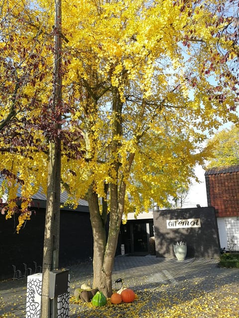 Git Émoi House in Flanders