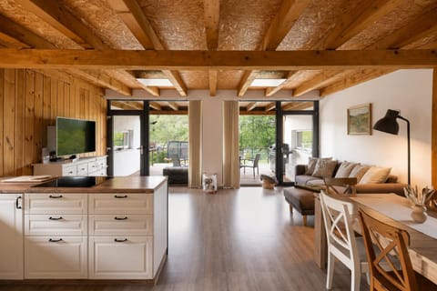 Communal lounge/ TV room, TV and multimedia, Kitchen or kitchenette, Living room, Seating area, Dining area