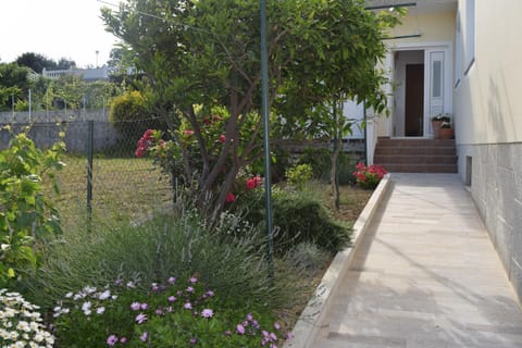 Patio, Natural landscape, Garden