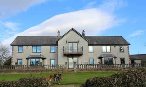 Garden, Balcony/Terrace, Pets, Garden view