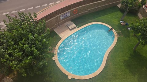 Garden, Garden view, Pool view, Swimming pool