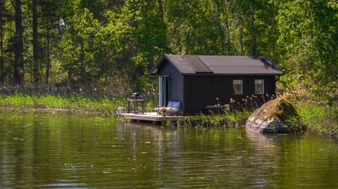 Lake view