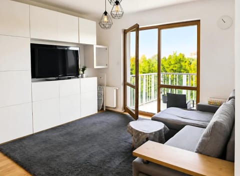 TV and multimedia, Balcony/Terrace, Living room, Seating area