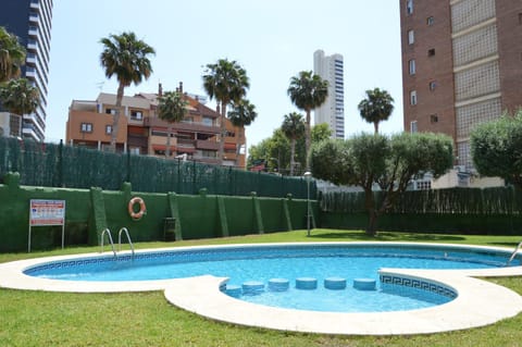 Day, Garden, Swimming pool