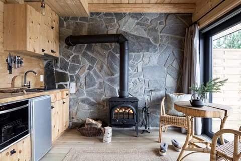 Kitchen or kitchenette, Living room, Dining area, fireplace, stove