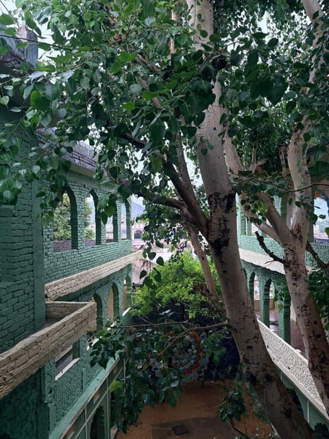 Natural landscape, Garden view