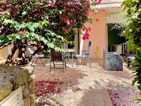 Patio, Garden