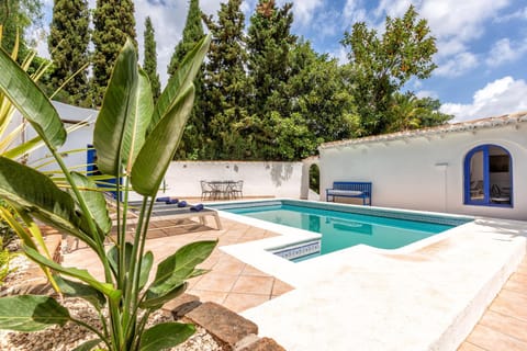 Garden, Swimming pool, Swimming pool