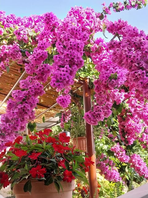 Apartment Milica Apartment in Lika-Senj County