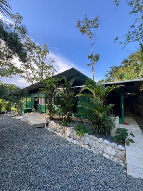 Property building, Day, Garden