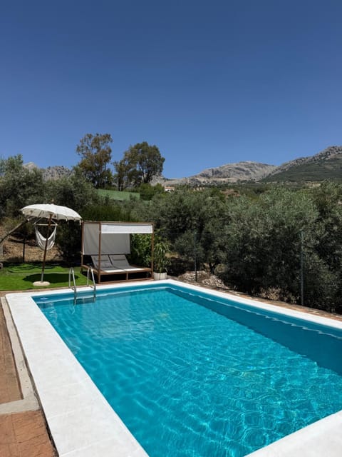 Spring, Day, Natural landscape, Mountain view, Pool view, Swimming pool, sunbed
