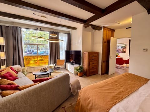 Bed, TV and multimedia, Living room, Photo of the whole room, Seating area, Bedroom