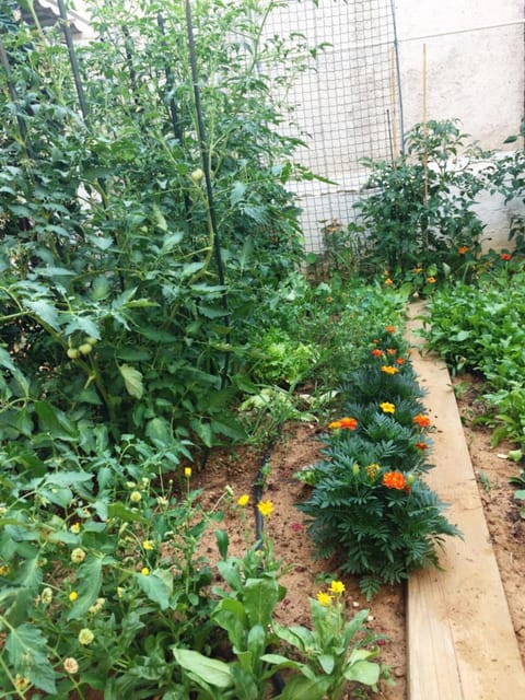 Spring, Day, Garden view