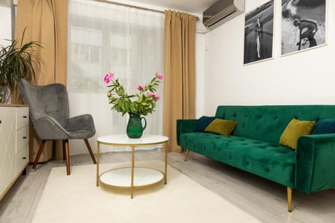Living room, flat iron, hair dryier, internet, air conditioner