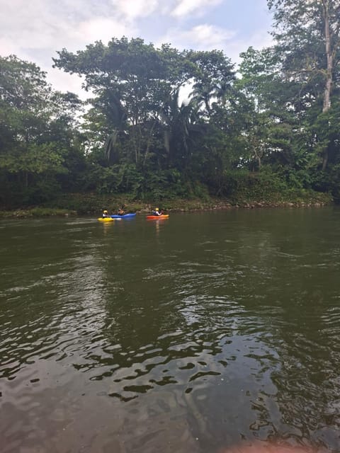 Activities