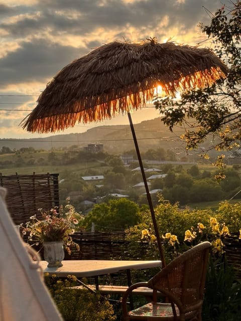 Day, Natural landscape, Garden, View (from property/room), Sunset
