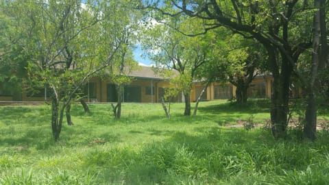 Garden, Balcony/Terrace, Garden view