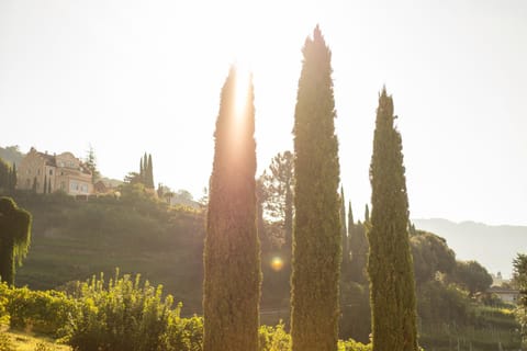 Inner courtyard view