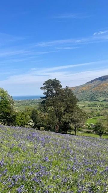 Spring, Hiking, Mountain view